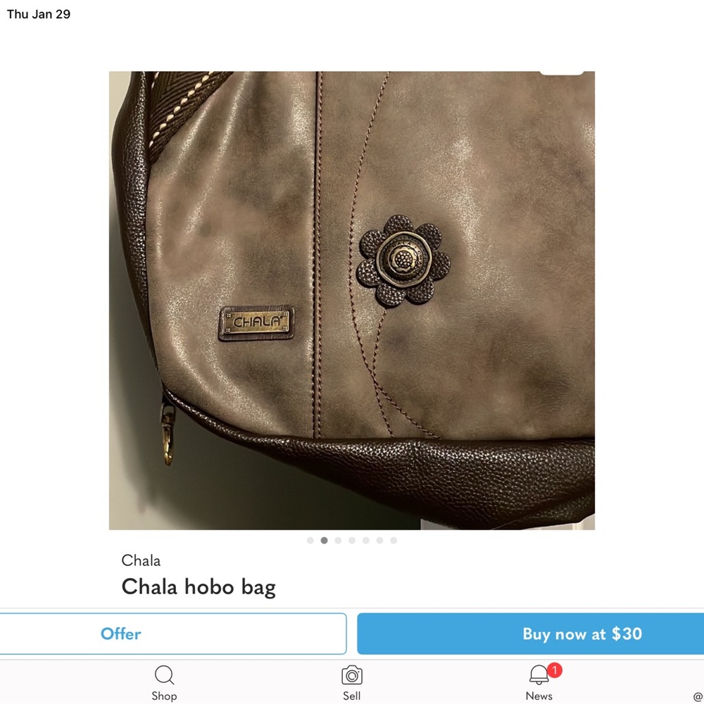 Chala Brown Hobo Bag